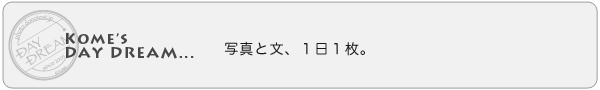 Kome's DAY DREAM...